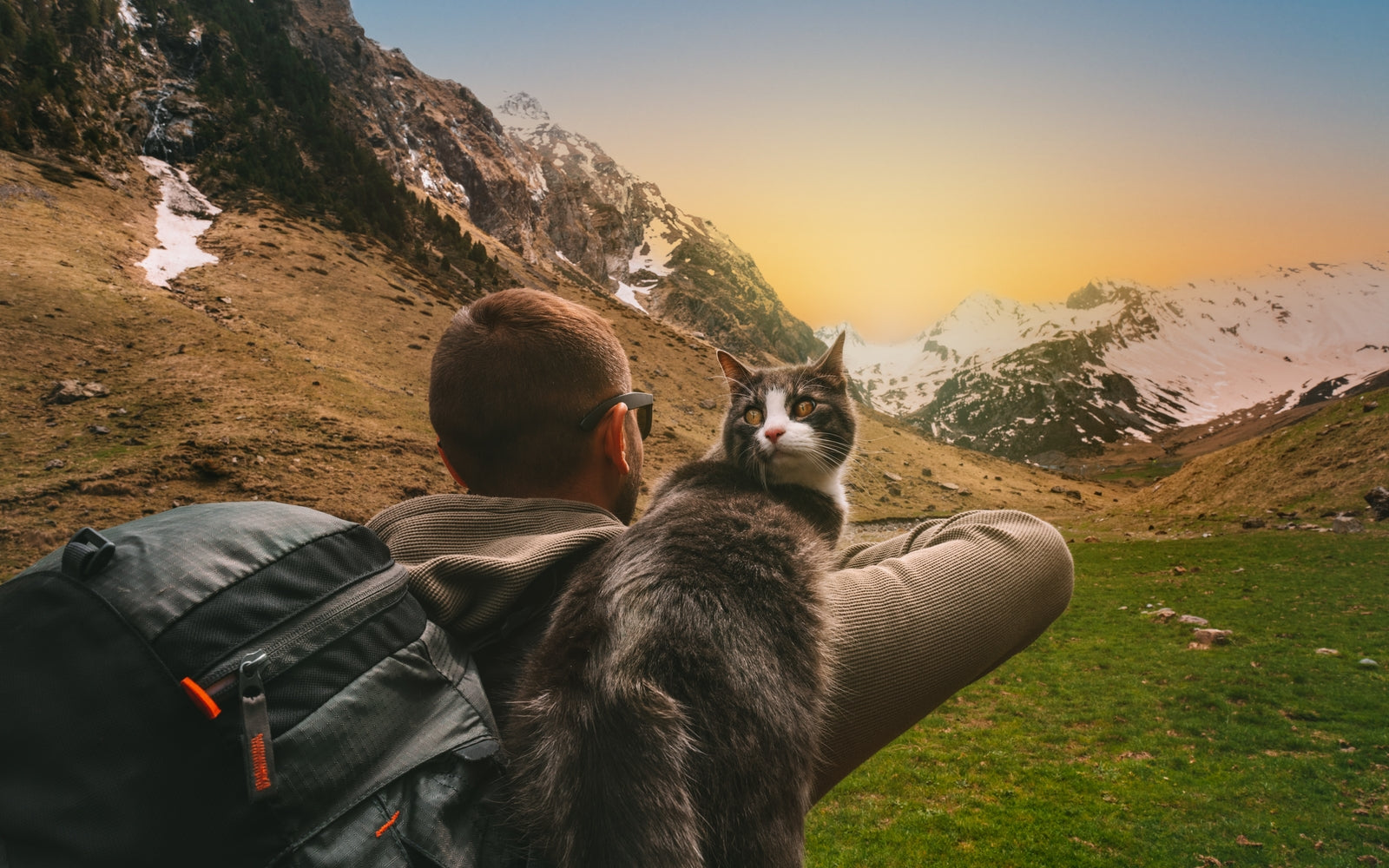 Urlaub mit der Katze – gemeinsam die Welt entdecken – CATLABS