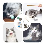 Set: "New Cat Starter-Set M"