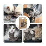 Kuschelige Katze mit Katzenminze - CATLABS