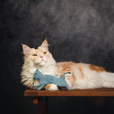 Farbenfrohe Feli blau von Terra Felis & CATLABS