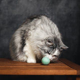 2 flinke Filzbälle aus Schafwolle