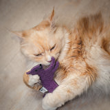 Farbenfrohe Feli lila von Terra Felis & CATLABS