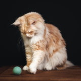 2 flinke Filzbälle aus Schafwolle