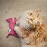 Farbenfrohe Feli pink von Terra Felis & CATLABS