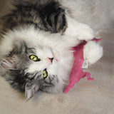 Farbenfrohe Feli pink von Terra Felis & CATLABS