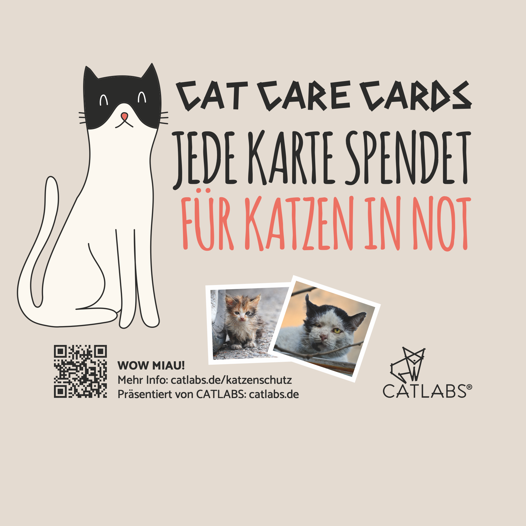 Cat Care Cards - Set 1