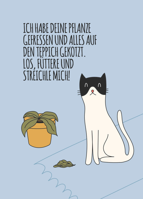 Cat Care Card "Pflanze Teppich"