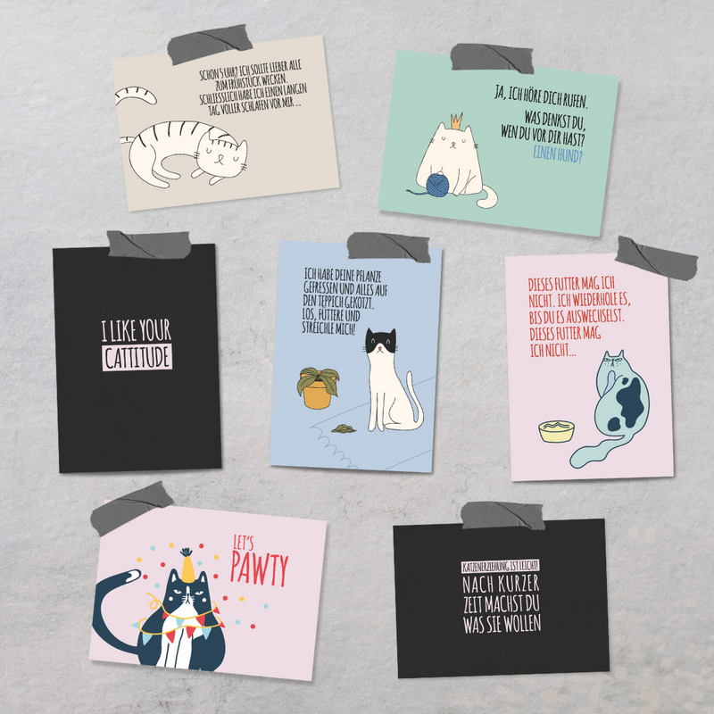 Cat Care Cards - Set 1