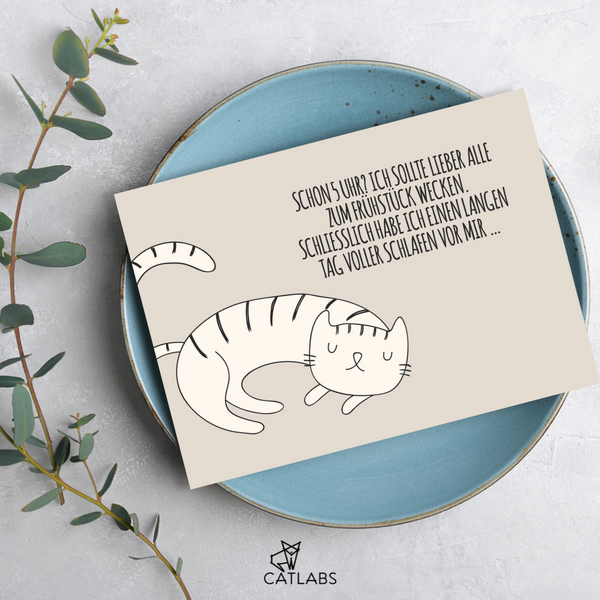 Cat Care Card "Langer Tag Schlafen"