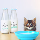 Vitamin-Milchshake für Katzen MINI – Abwehrkräfte