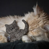 Kuschelige Katze mit Katzenminze - CATLABS