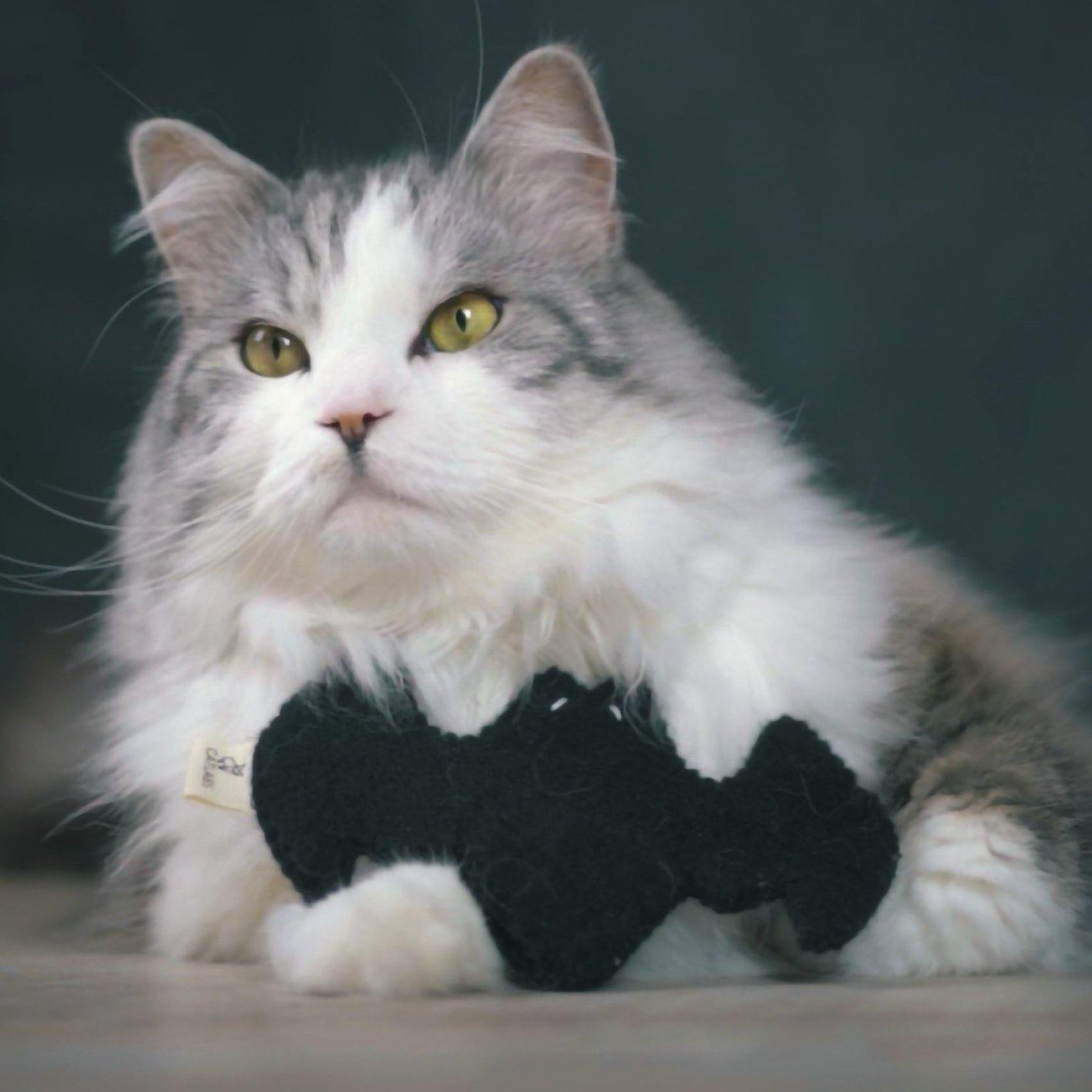 Flauschige Fledermaus mit Baldrianwurzel - CATLABS