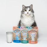Vitamin-Milchshake für Katzen – Abwehrkräfte