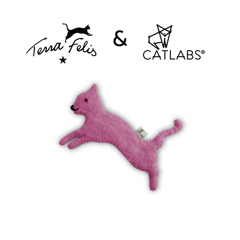 Farbenfrohe Feli pink von Terra Felis & CATLABS