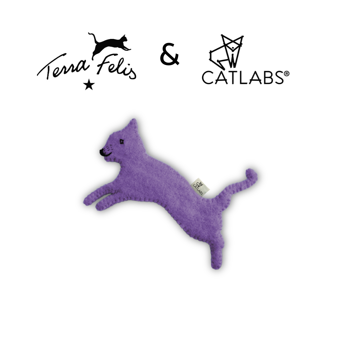 Farbenfrohe Feli lila von Terra Felis & CATLABS